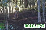 Picture 0010