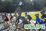 Picture 0036