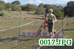 Picture 0017