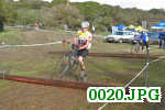 Picture 0020